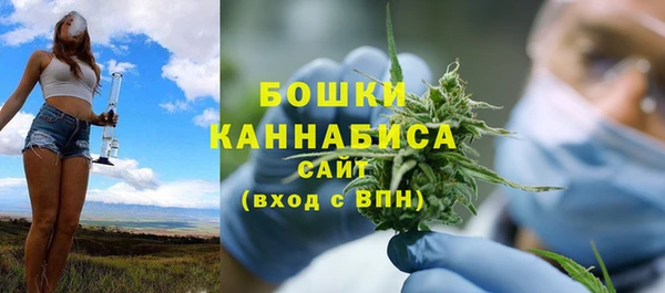 ПСИЛОЦИБИНОВЫЕ ГРИБЫ Покров