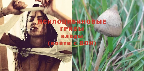 ПСИЛОЦИБИНОВЫЕ ГРИБЫ Покров