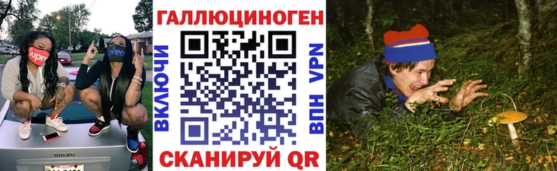 Галлюциногенные грибы GOLDEN TEACHER  продажа наркотиков  Чухлома 